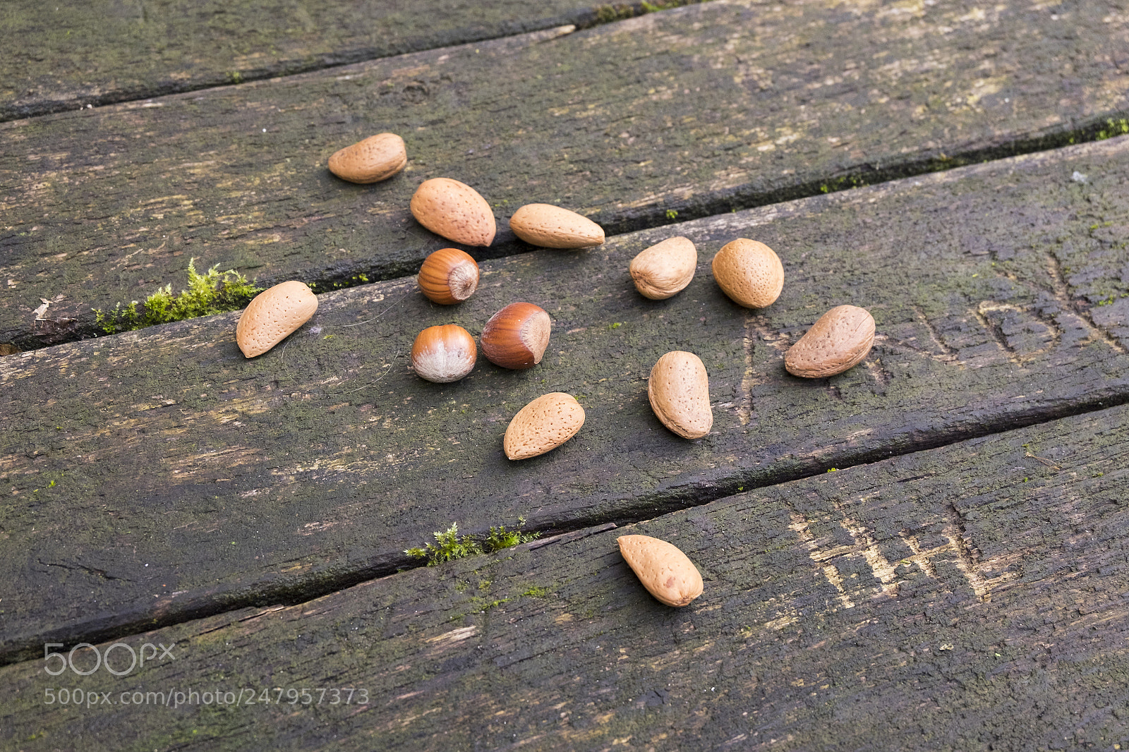 Fujifilm X-T1 sample photo. Nuts for you photography