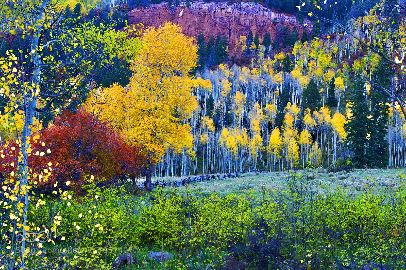 Nikon D500 sample photo. Crop photography