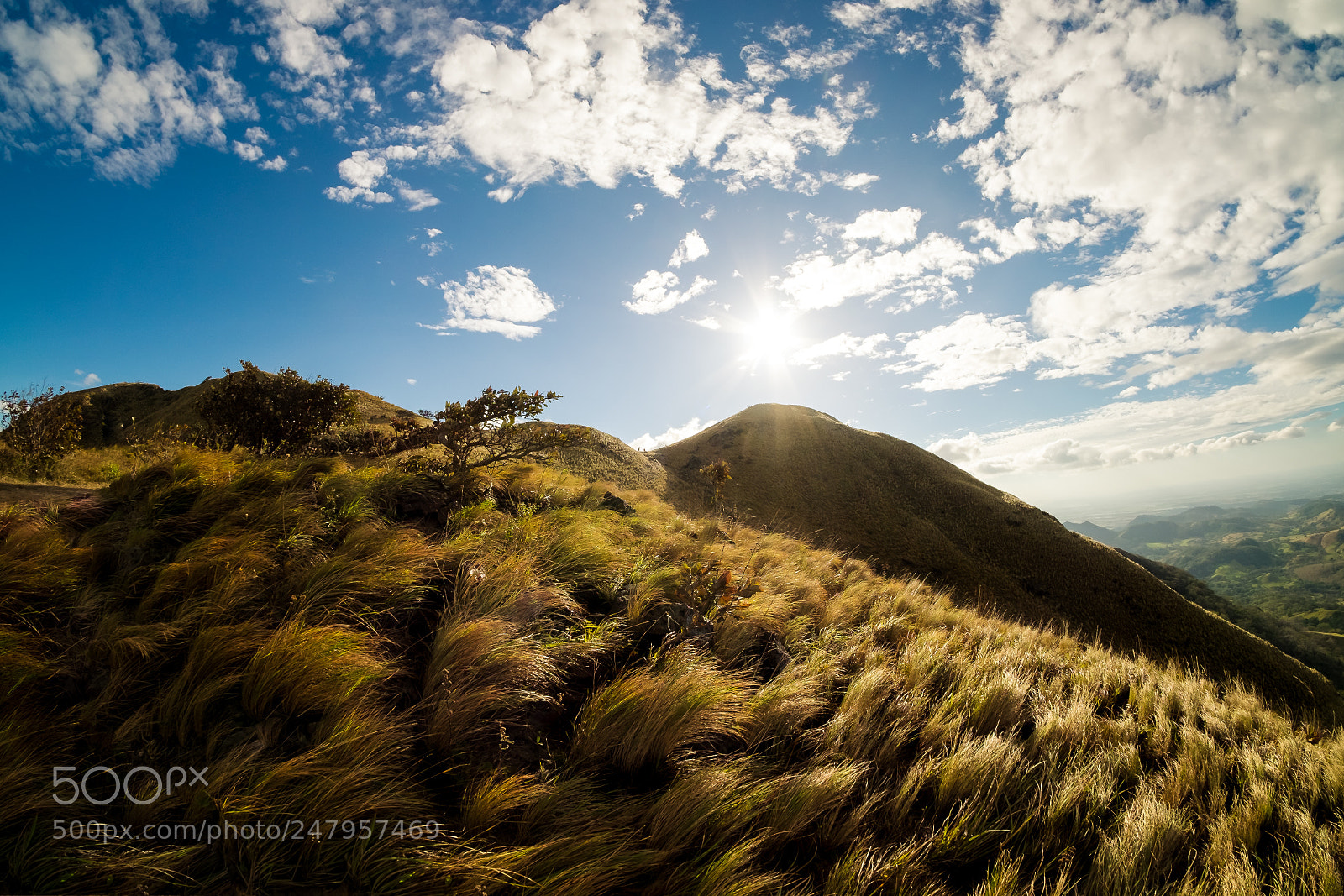 Fujifilm X-T1 sample photo. Pelado photography