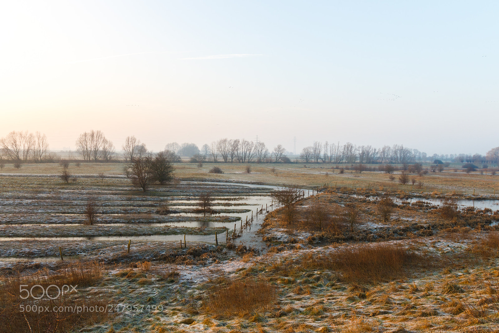 Canon EOS 700D (EOS Rebel T5i / EOS Kiss X7i) sample photo. Rijnstrangengebied photography