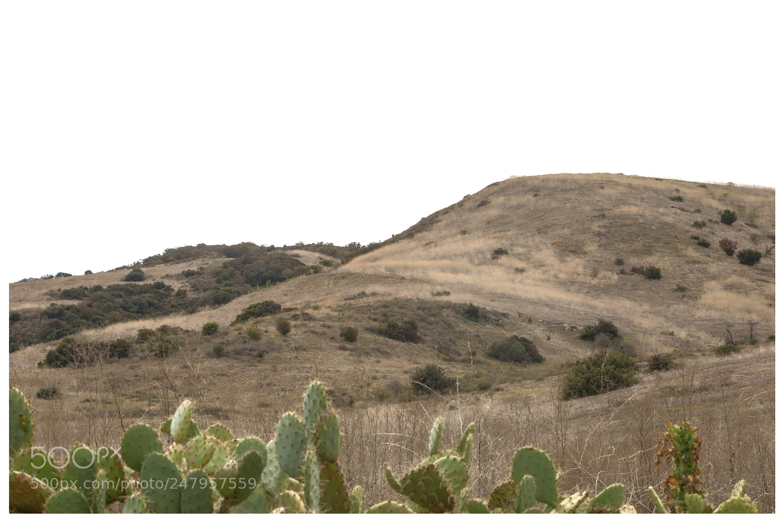 Canon EOS 5DS R sample photo. Untitled photography