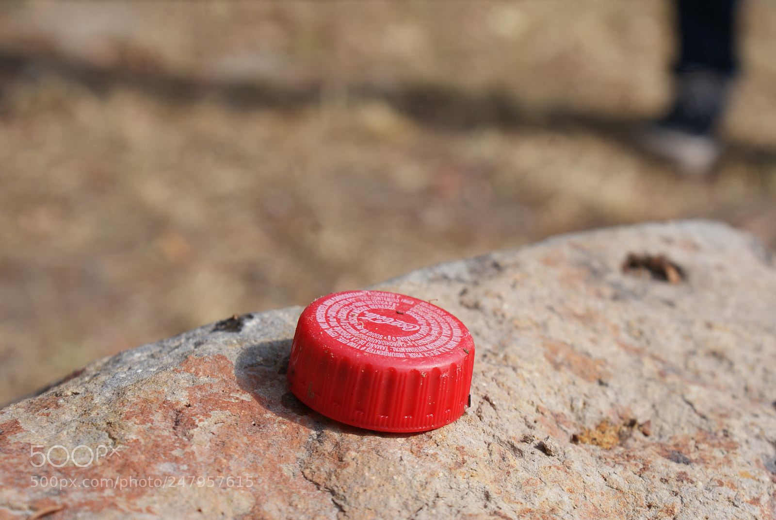 Sony DT 18-70mm F3.5-5.6 sample photo. Red photography