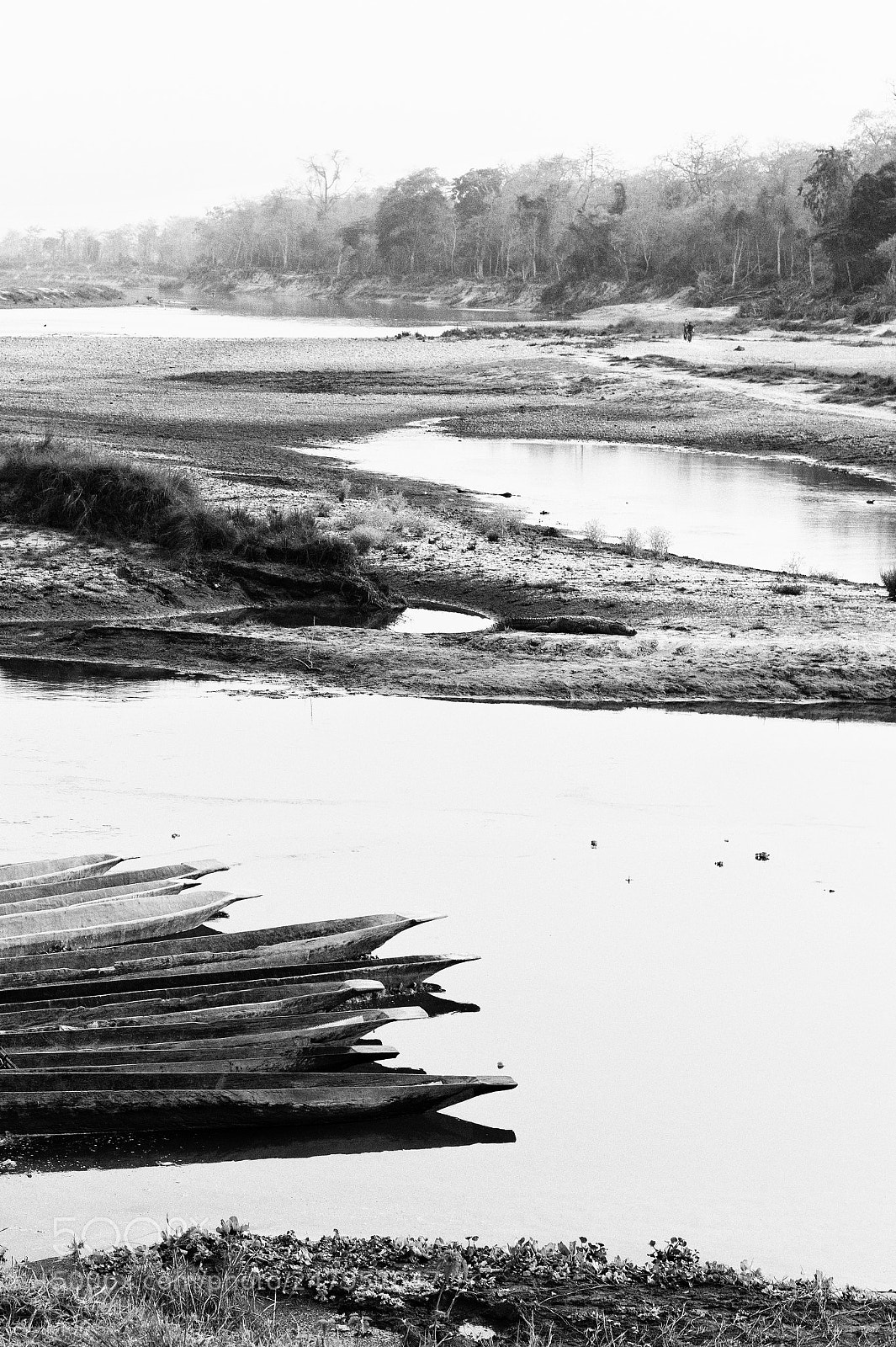 Leica M9 sample photo. Tranquility of the nature photography