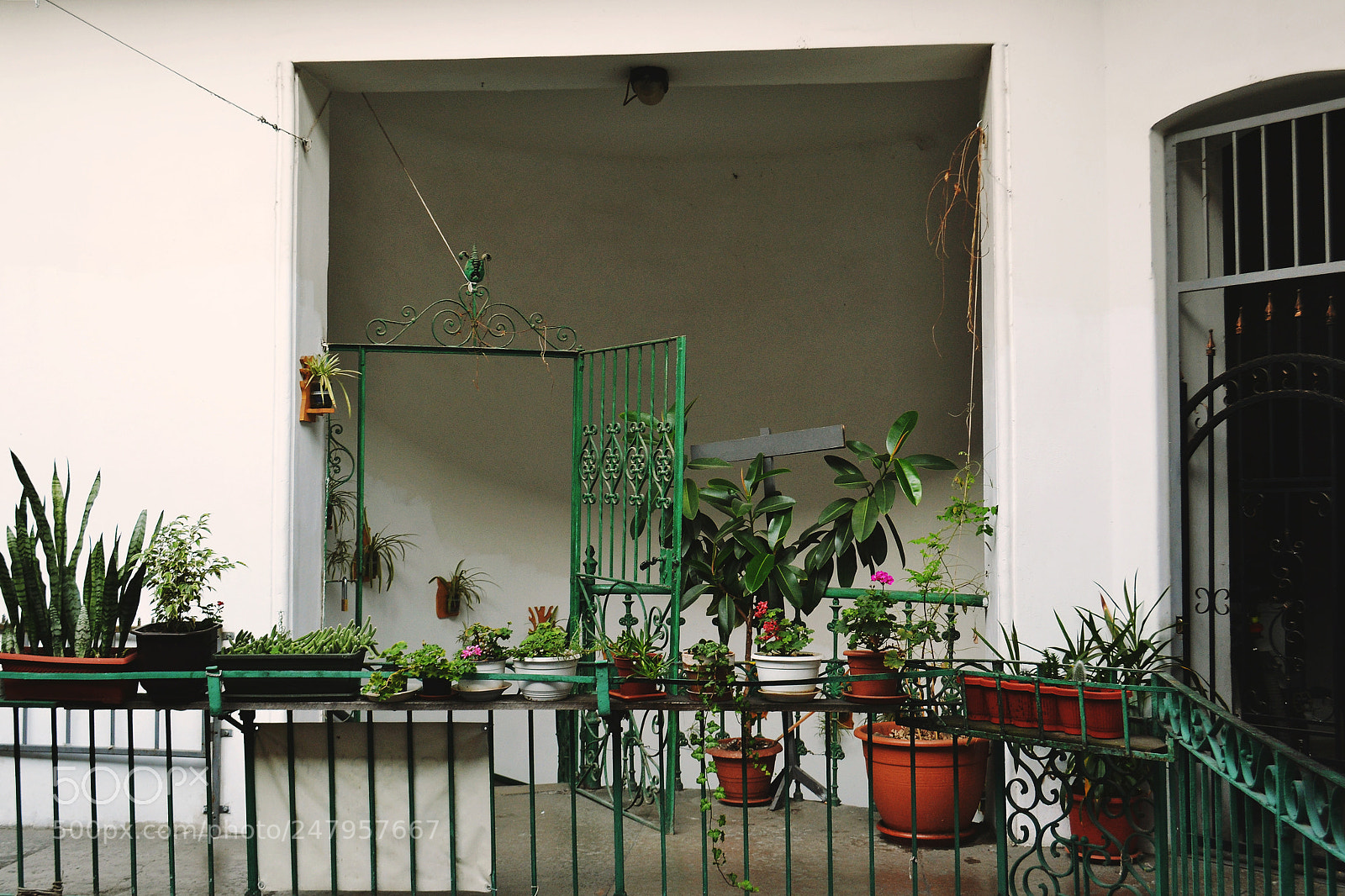 Nikon D3100 sample photo. All the world is photography