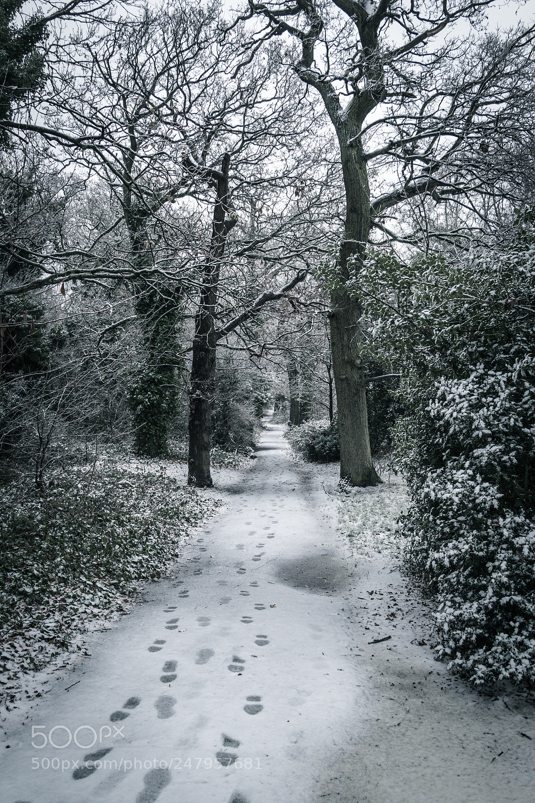 Canon EOS 80D sample photo. Footprints on a snow photography