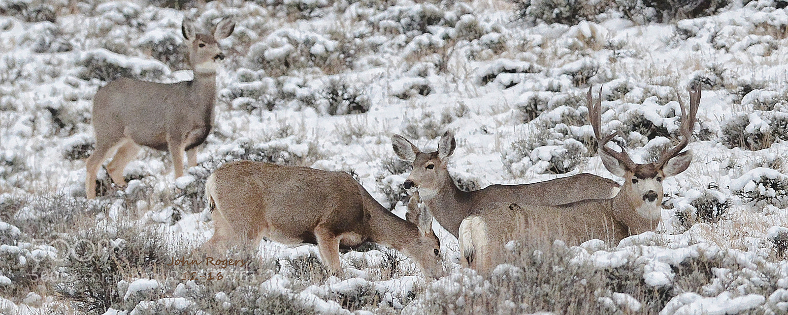 Nikon D800 sample photo. Crop photography