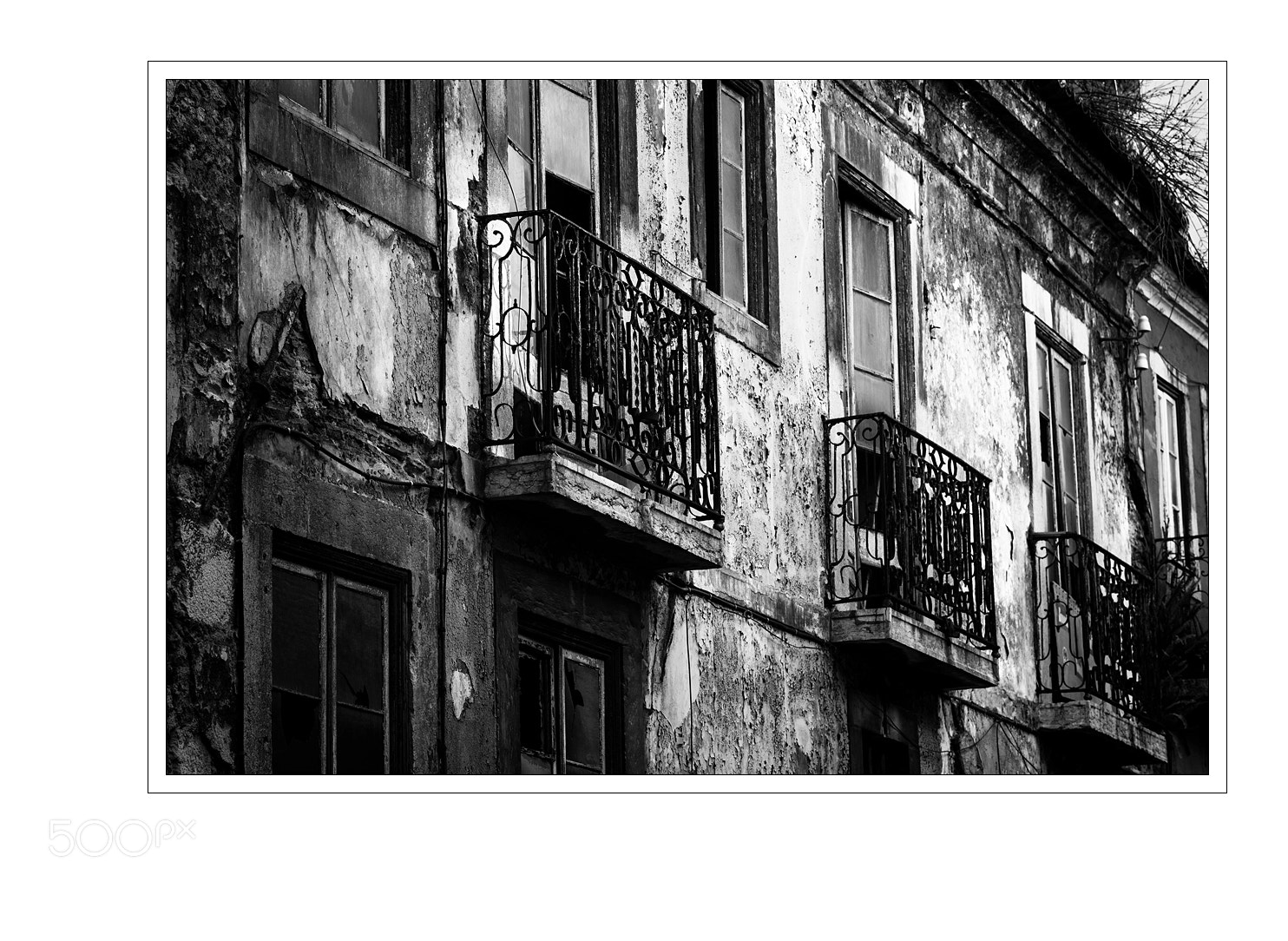 Nikon D5 sample photo. Rotten photography