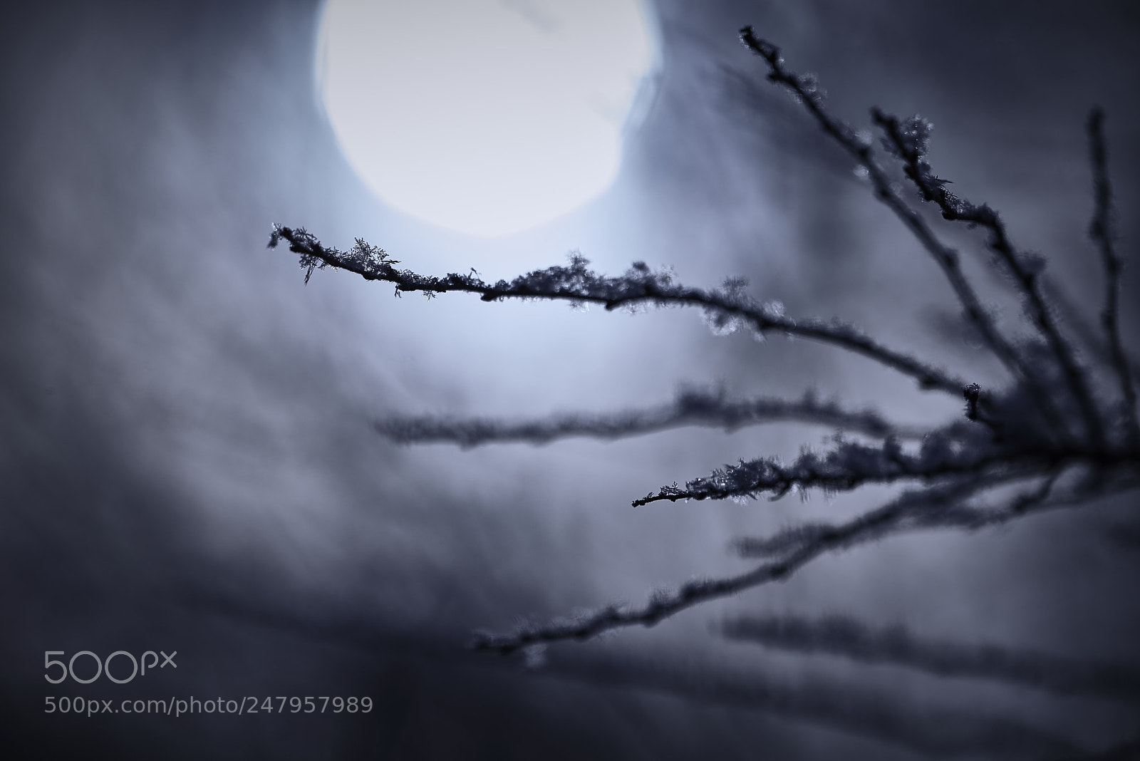 Nikon D800E sample photo. Dark snow photography