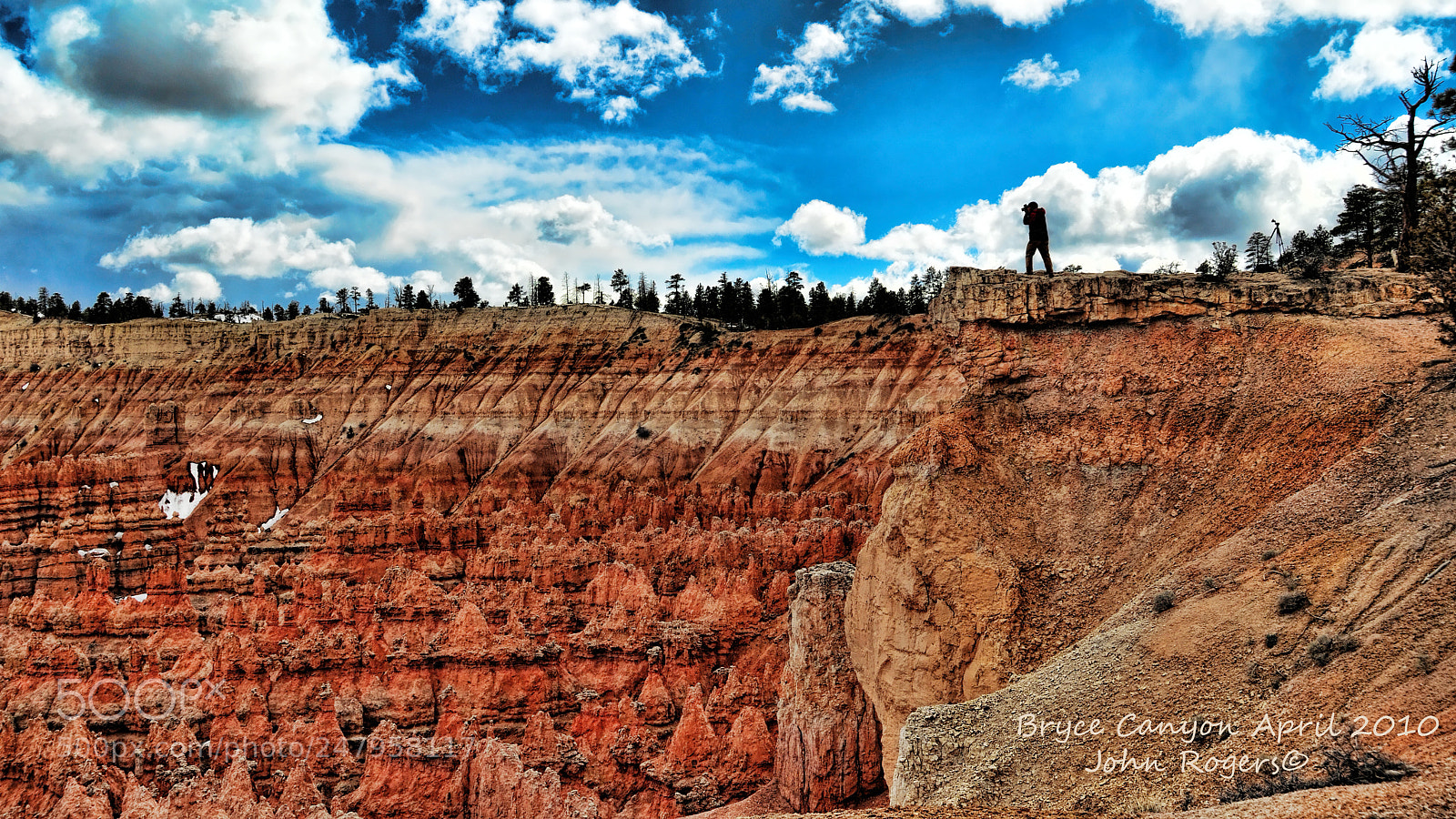 Nikon D300 sample photo. Copy photography