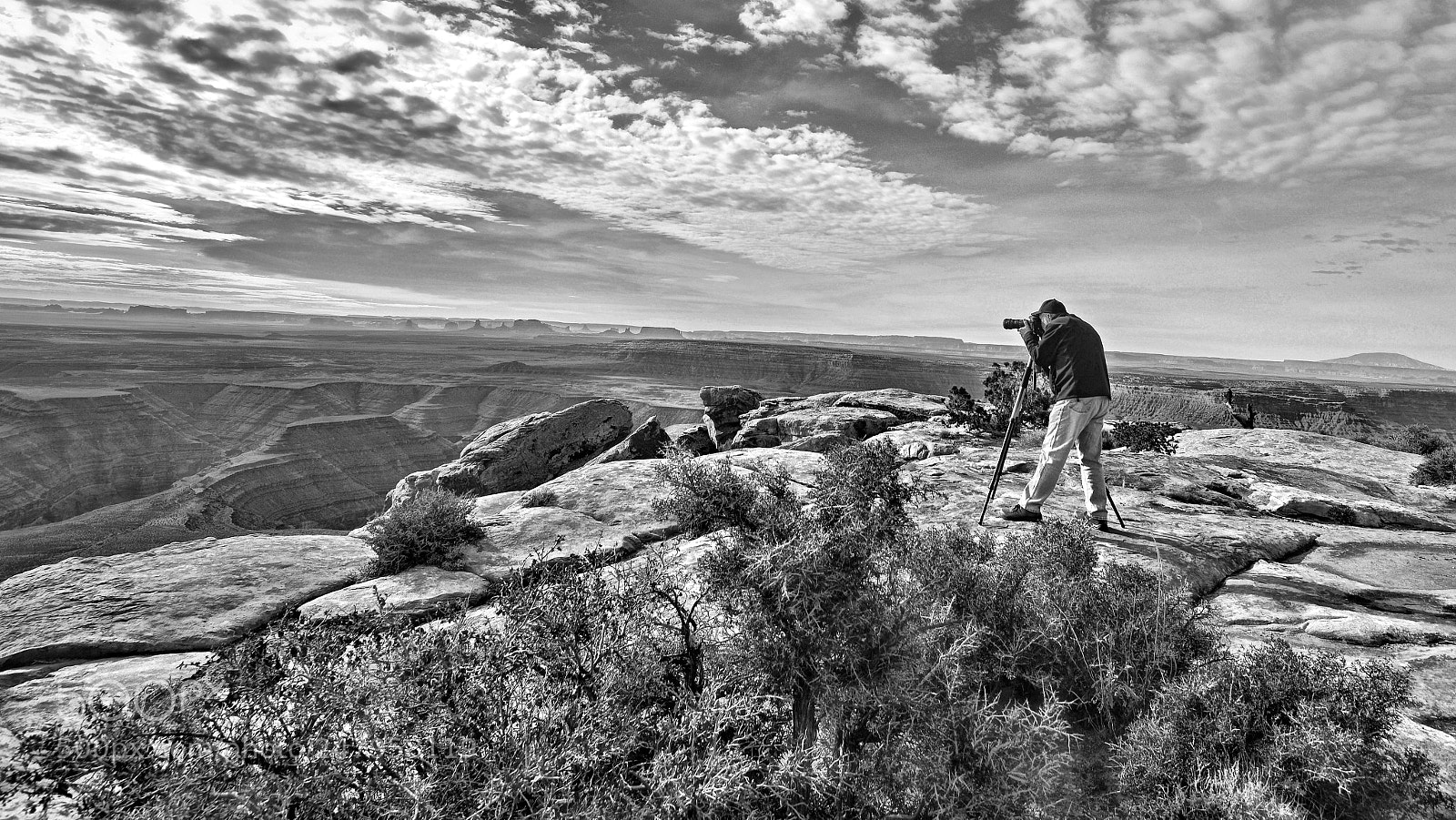Nikon D600 sample photo. Boldly doing the mule photography