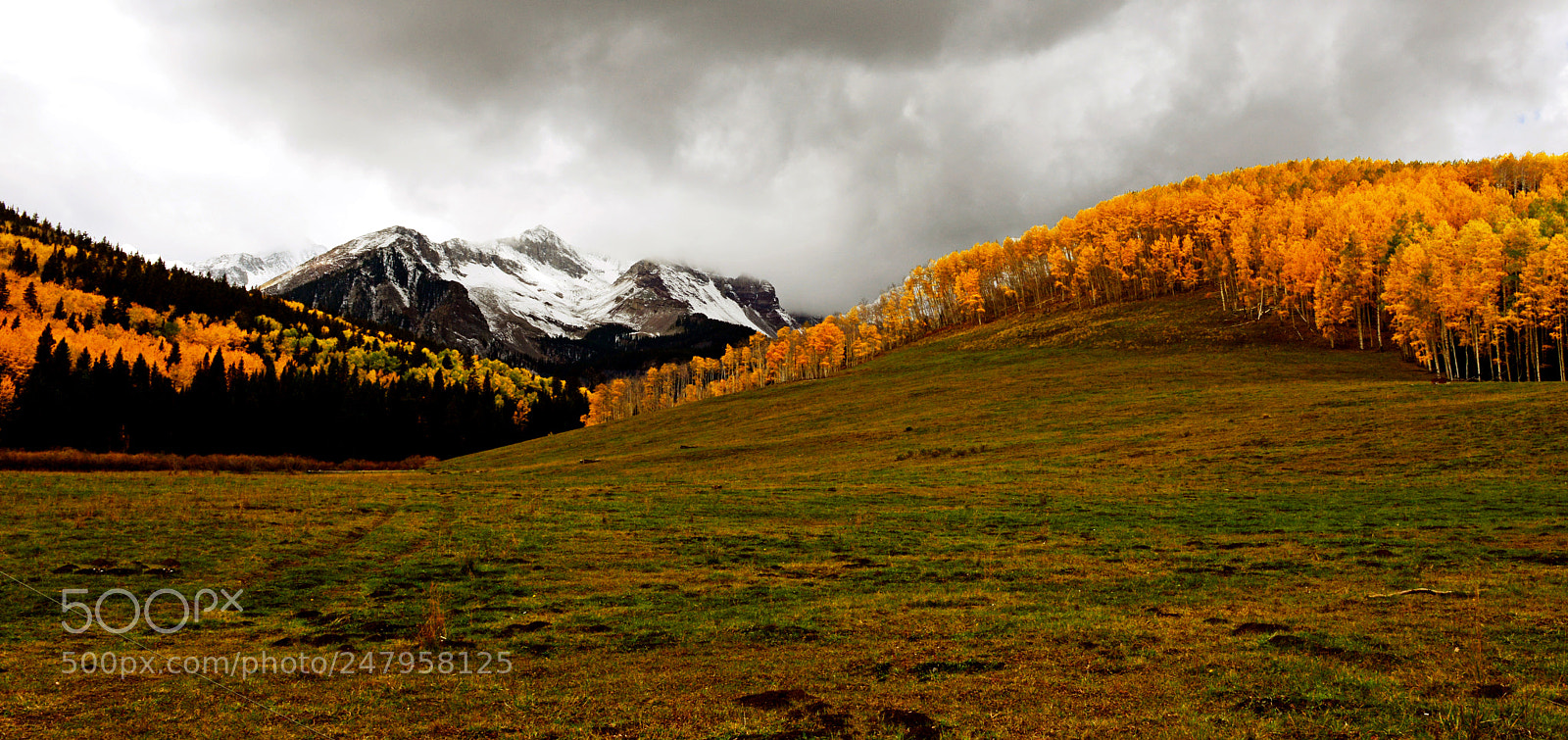 Nikon D800 sample photo. Copycopyz photography
