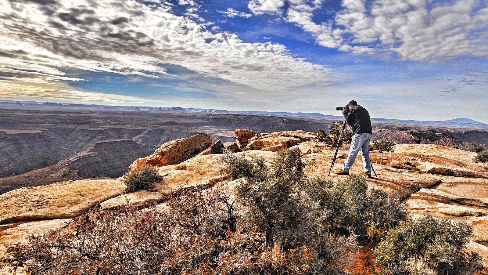 Nikon D600 sample photo. Boldly doing the mule photography