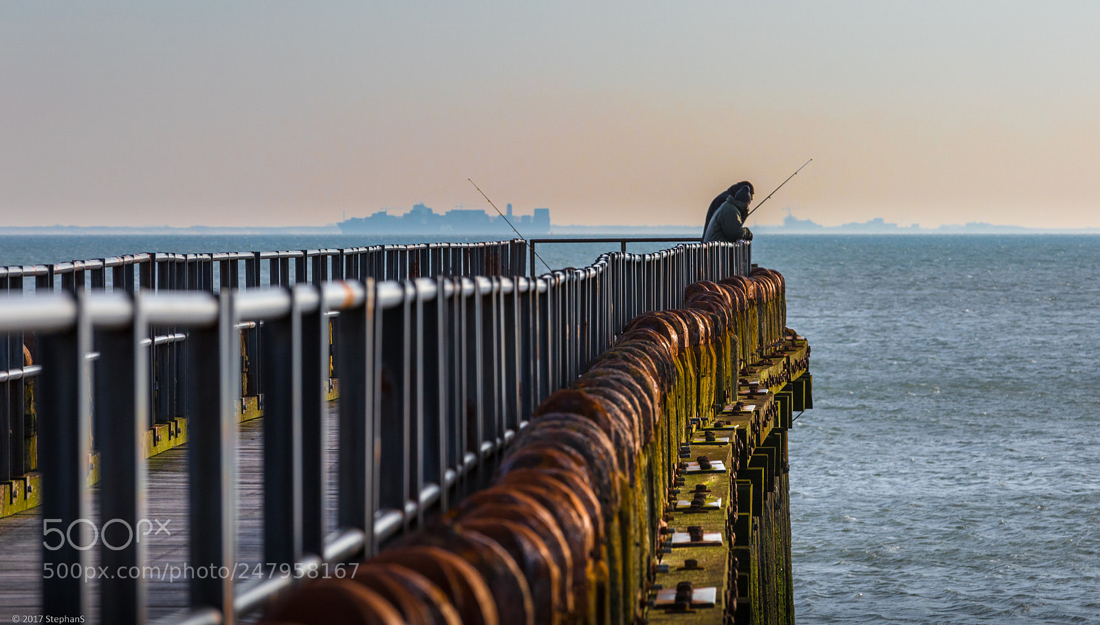 Canon EOS 6D Mark II sample photo. Catch of the day photography