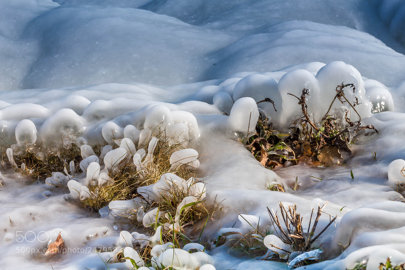 Canon EOS 700D (EOS Rebel T5i / EOS Kiss X7i) sample photo. Frozen coast photography