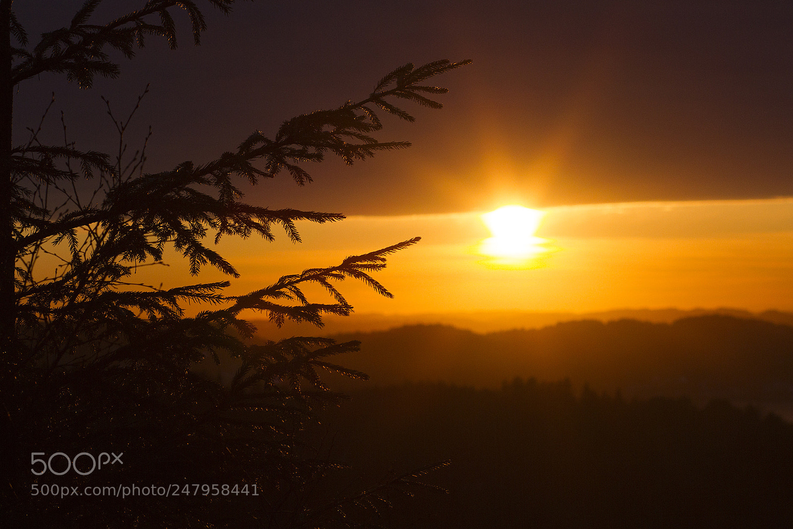 Canon EOS 7D sample photo. Untitled photography