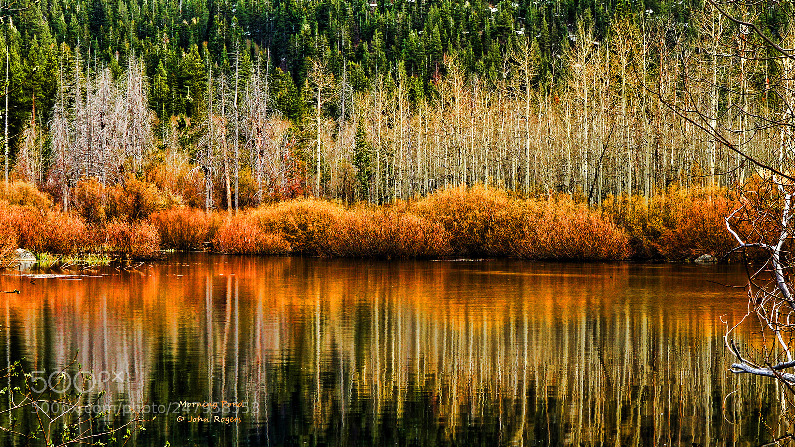 Nikon D800 sample photo. Untitled panoramacopy@ copyz photography