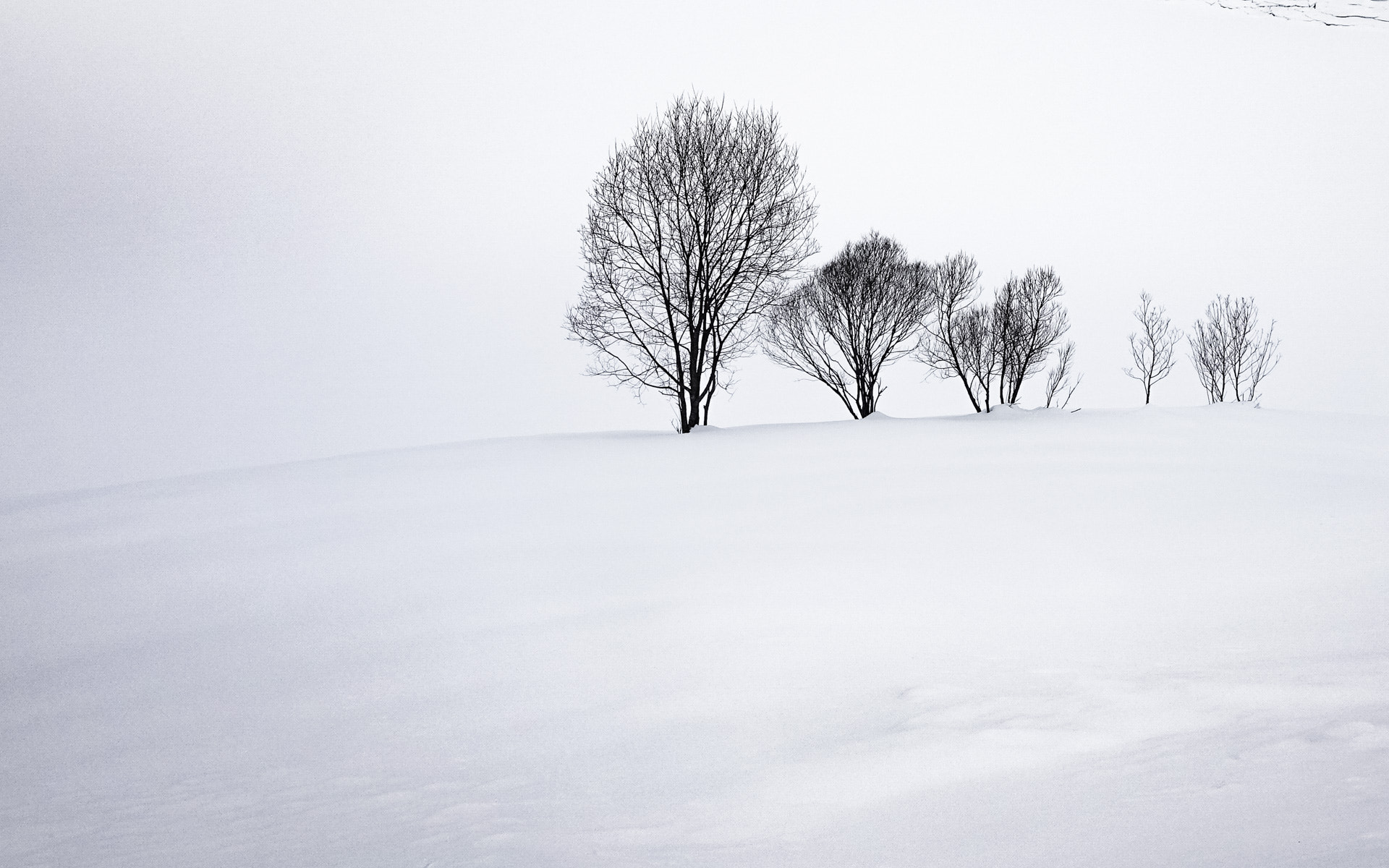 Sony Cyber-shot DSC-RX10 II sample photo. Davos lake today photography