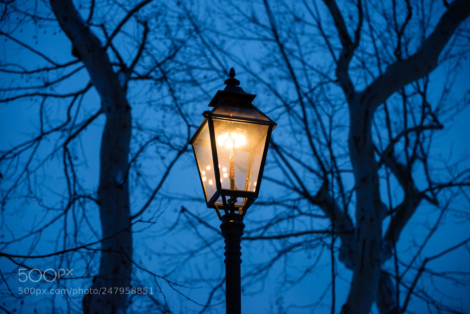 Nikon D610 sample photo. Blue hour in zagreb photography