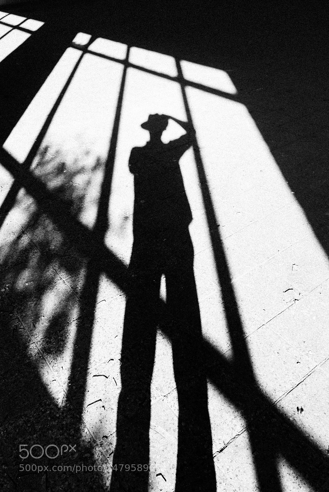 Fujifilm FinePix S5 Pro sample photo. Self portrait with hat photography