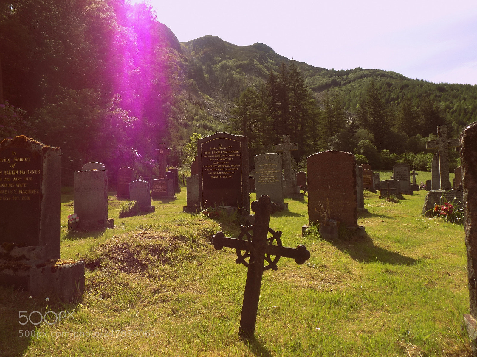 Nikon COOLPIX L340 sample photo. Cemetery in the woods photography