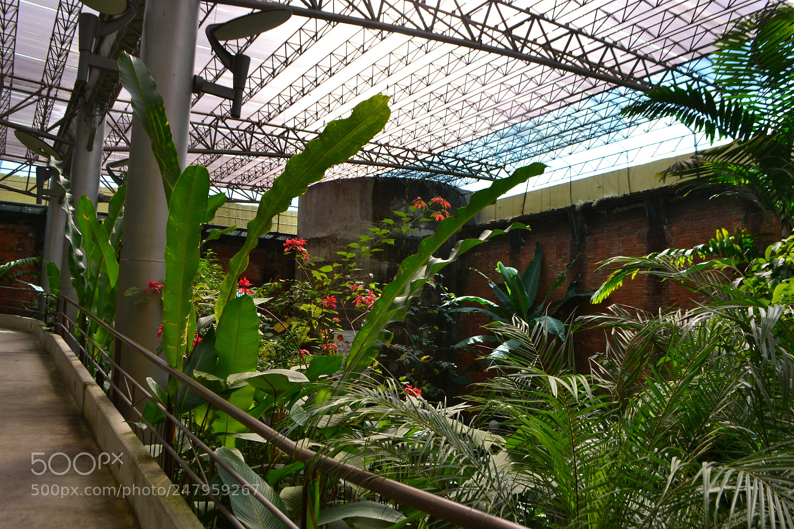 Nikon D3100 sample photo. National museum entrance. photography