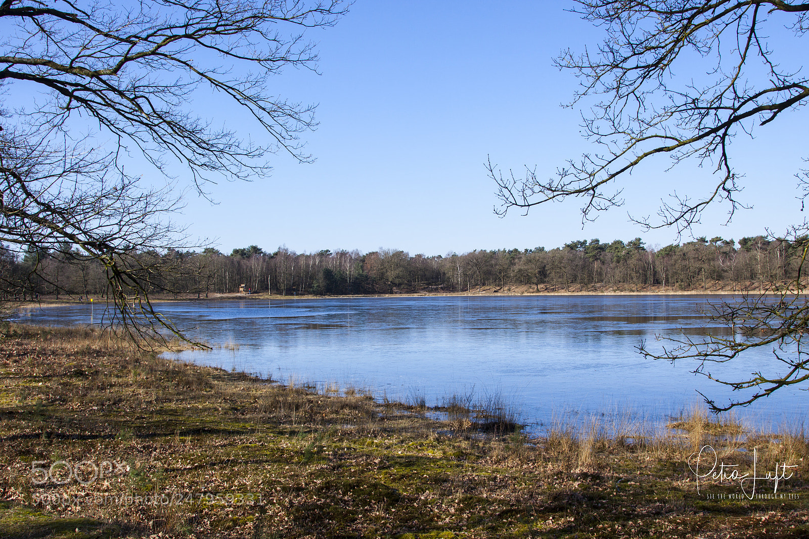 Canon EOS 50D sample photo. Frozen lake herperduin photography