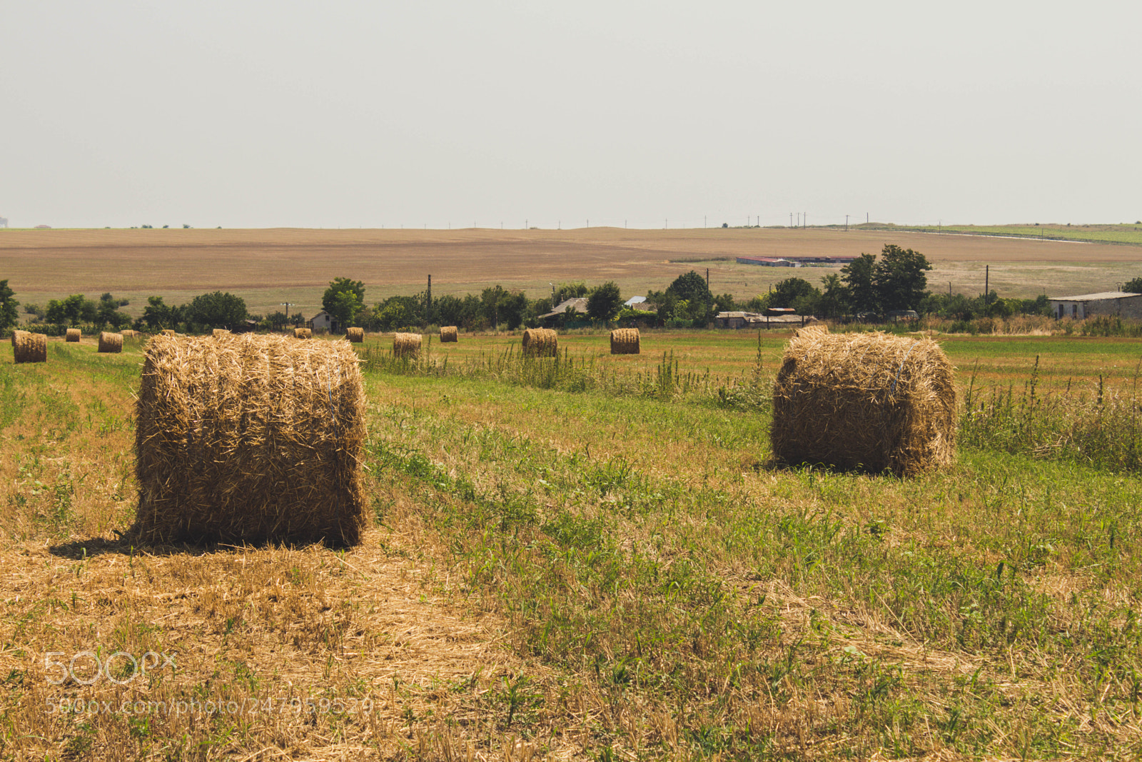 Canon EOS 700D (EOS Rebel T5i / EOS Kiss X7i) sample photo. Haystacks in the open photography