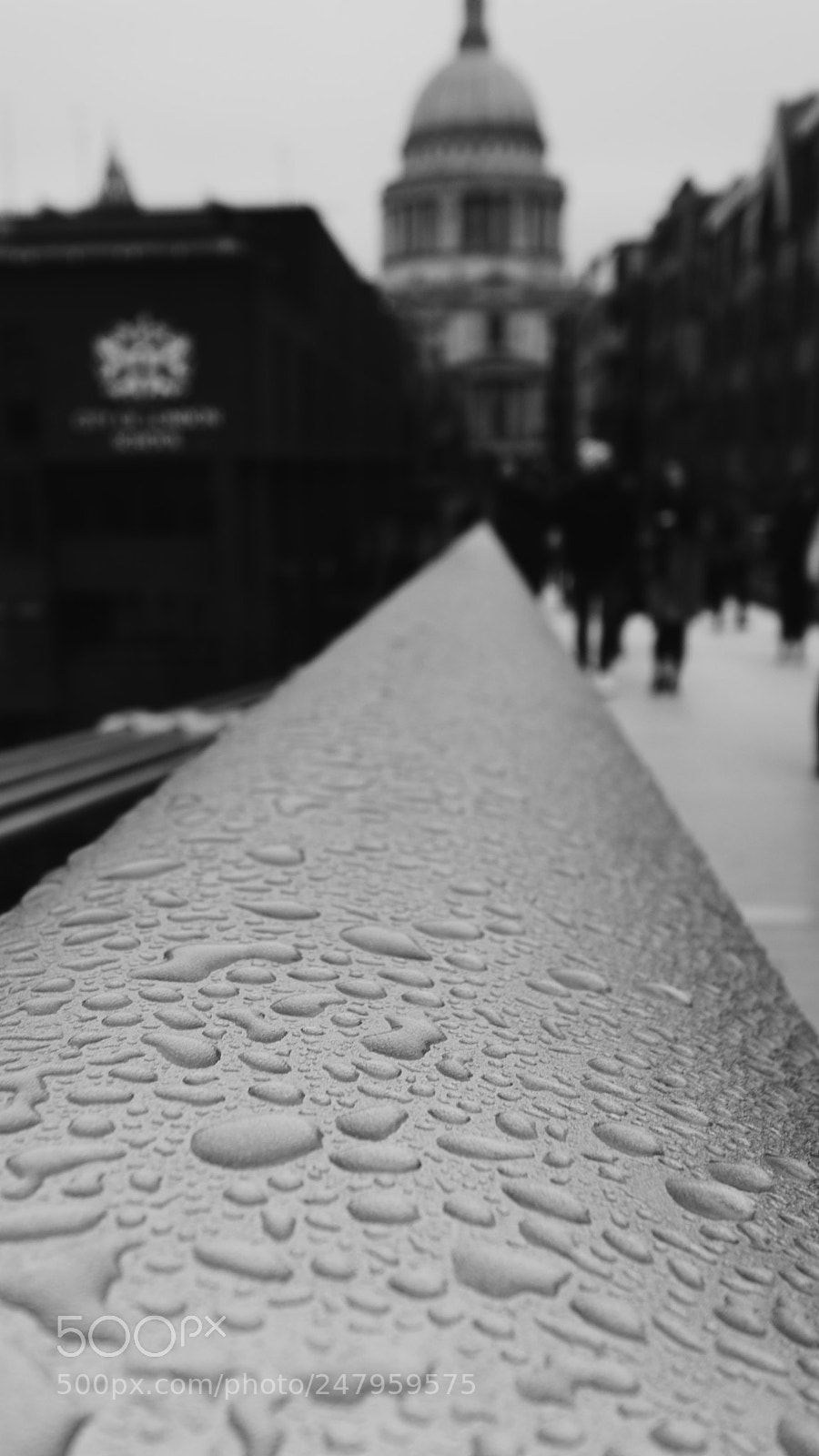 Canon EOS 80D sample photo. Rain i photography