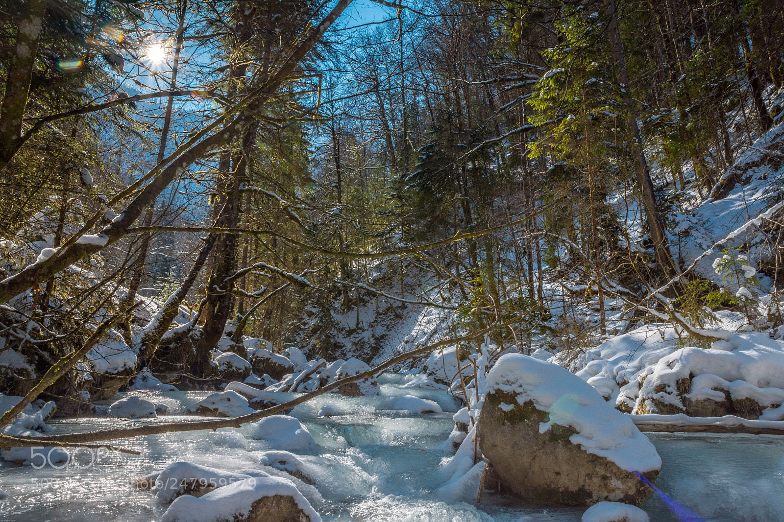 Nikon D7200 sample photo. Winter im wald photography