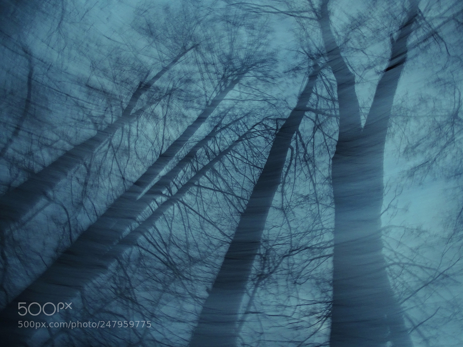 Sony Cyber-shot DSC-HX400V sample photo. Wintersturm photography