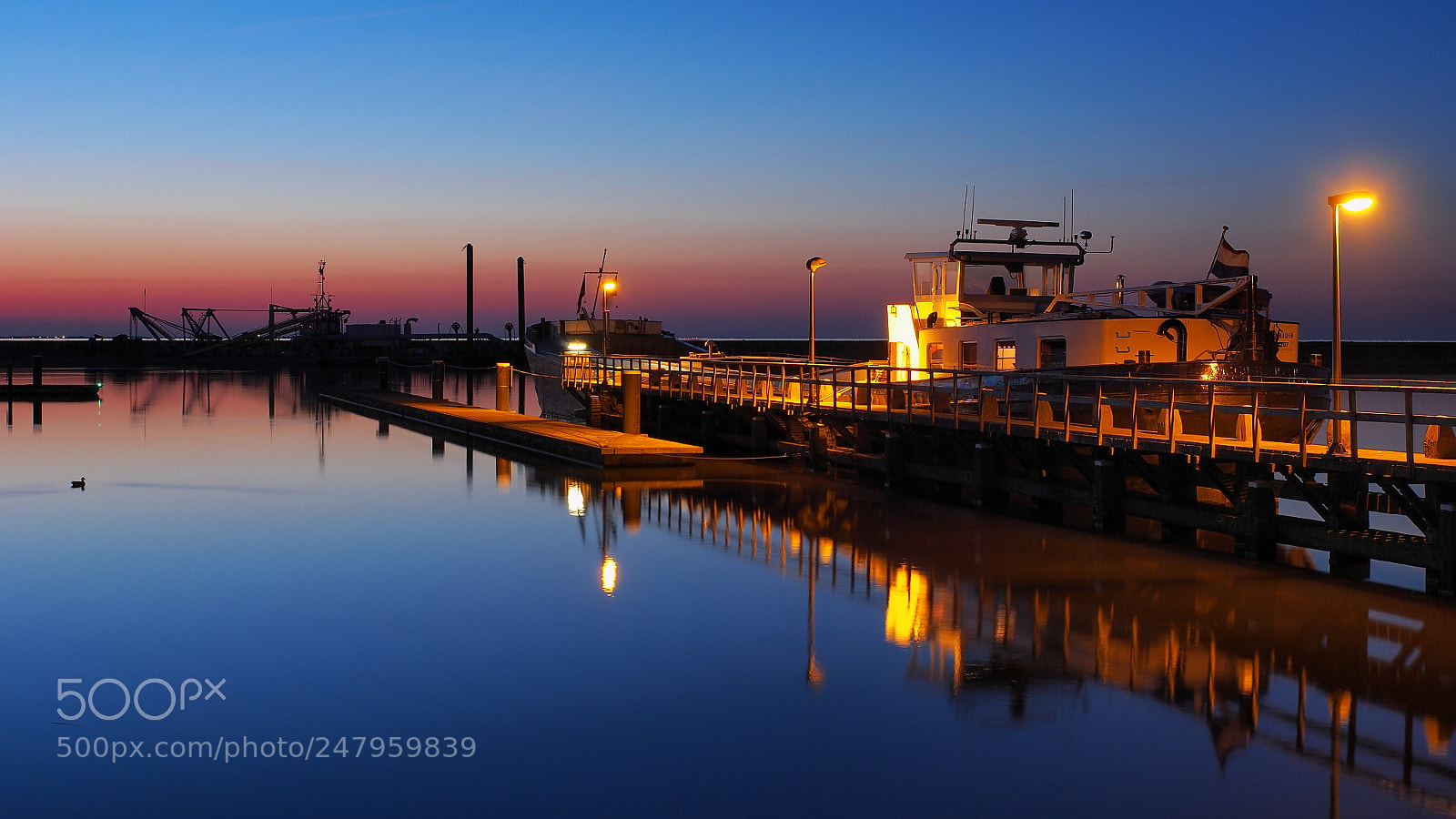 Olympus OM-D E-M5 sample photo. Blue hour oostvaardersdiep photography