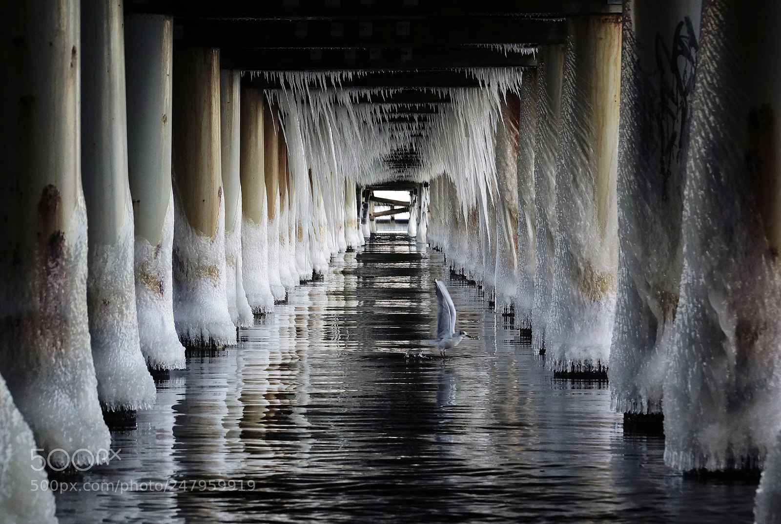 Sony SLT-A77 sample photo. Under the pier photography