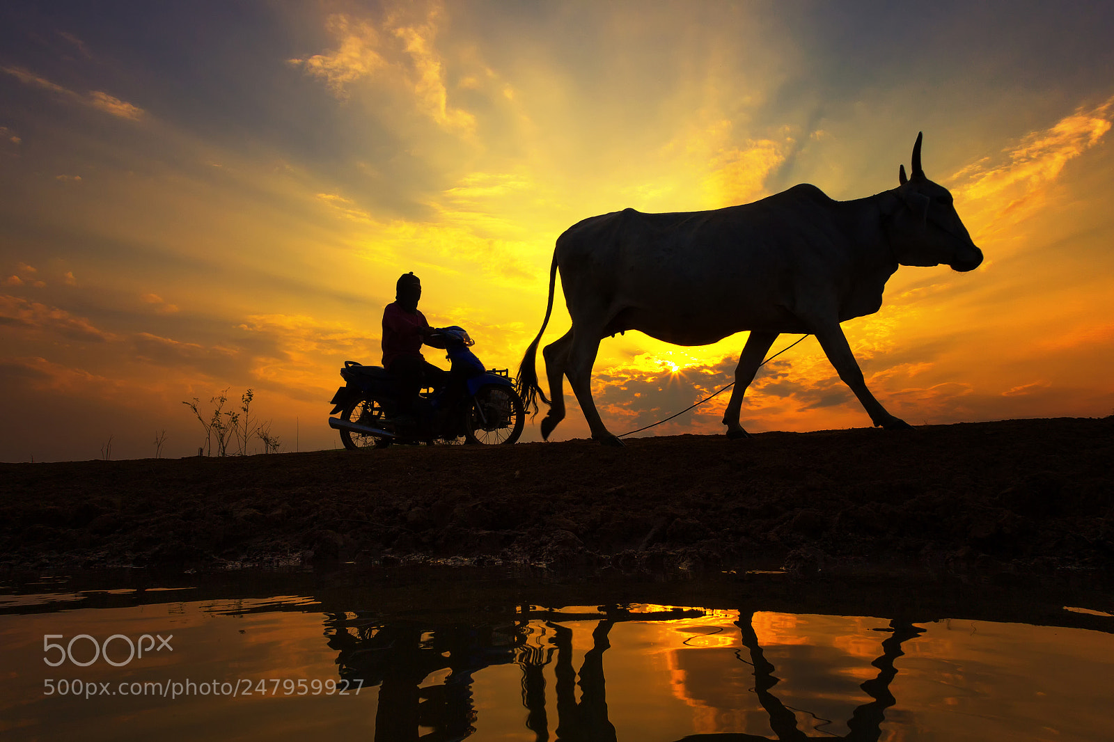 Canon EOS 600D (Rebel EOS T3i / EOS Kiss X5) sample photo. Silhouette sunset with lifestyle photography