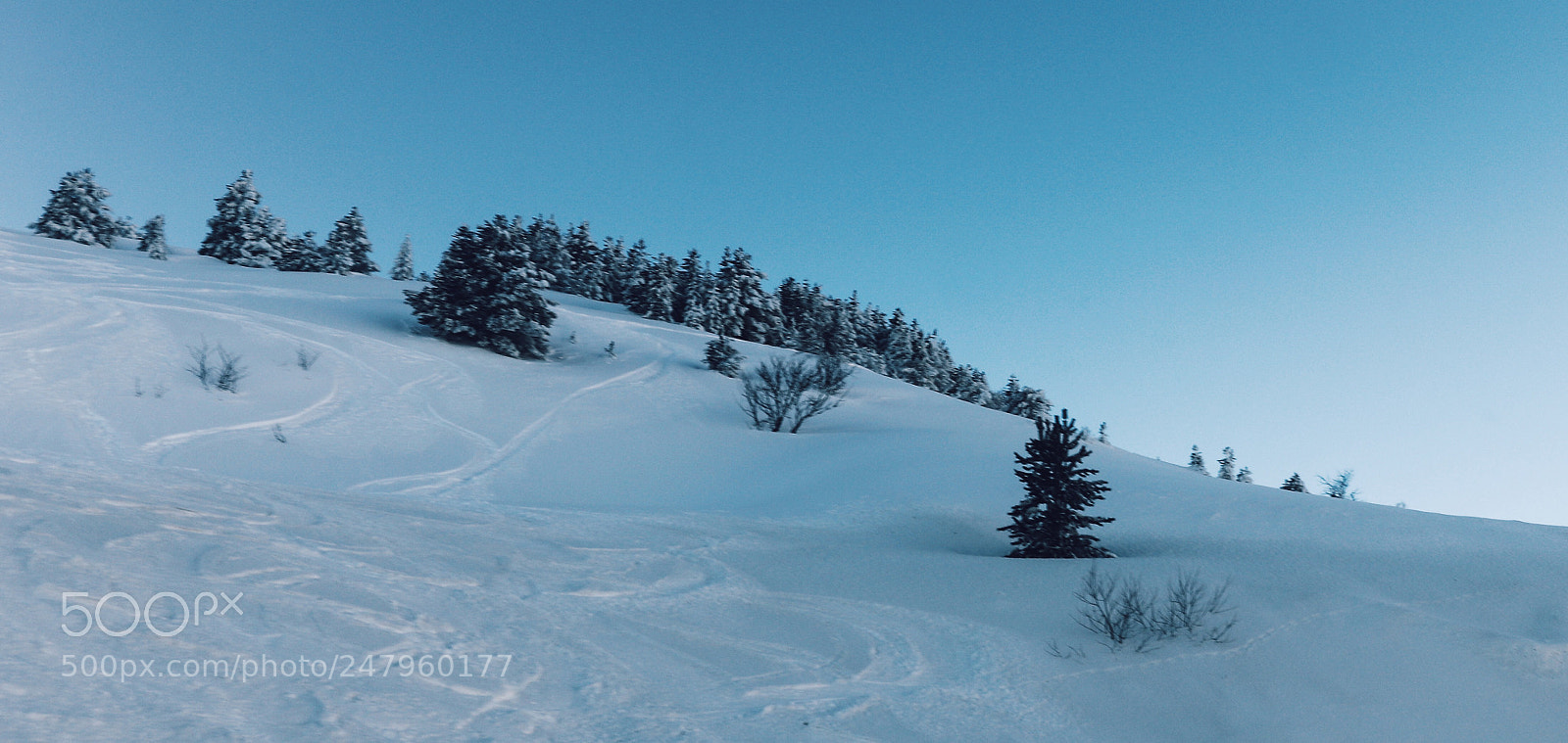 Canon EOS 80D sample photo. Snow ii photography
