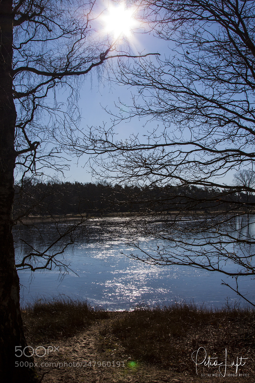Canon EOS 50D sample photo. Frozen lake herperduin photography