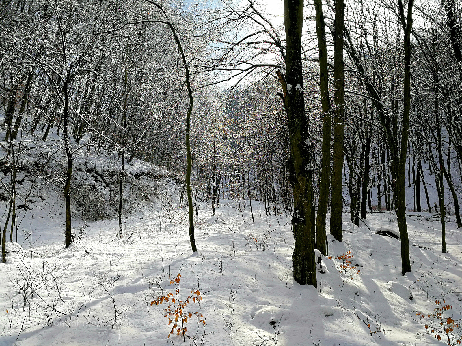 HUAWEI Mate 9 sample photo. Long winter photography