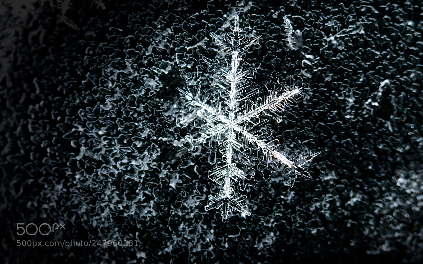 Apple iPhone 7 Plus sample photo. Snowflake photography