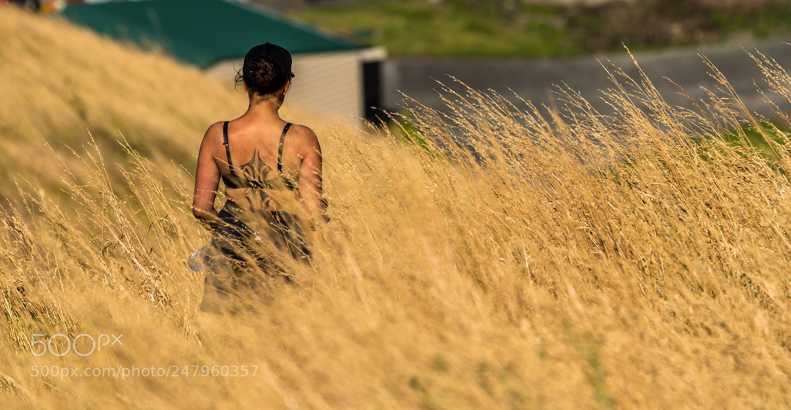 Sony a6500 sample photo. Maori photography
