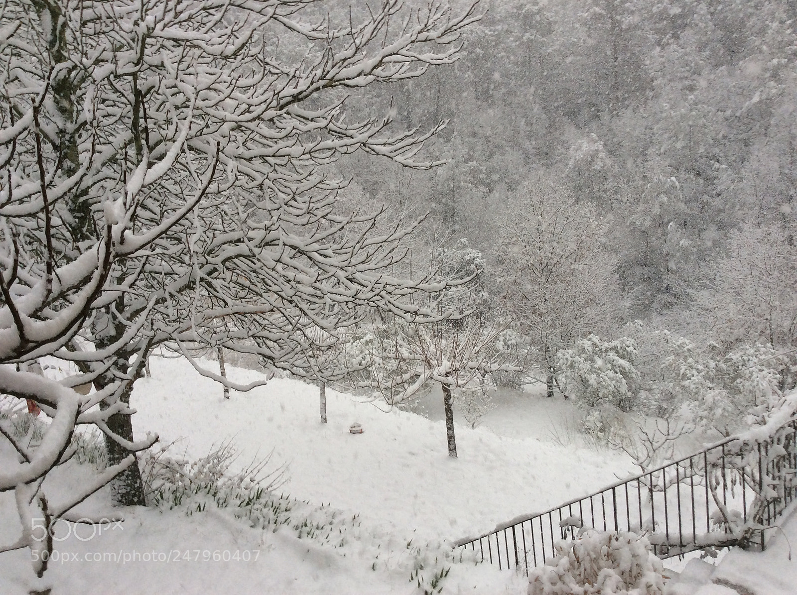 Apple iPad Air sample photo. Barjols - france . winter 2018 photography