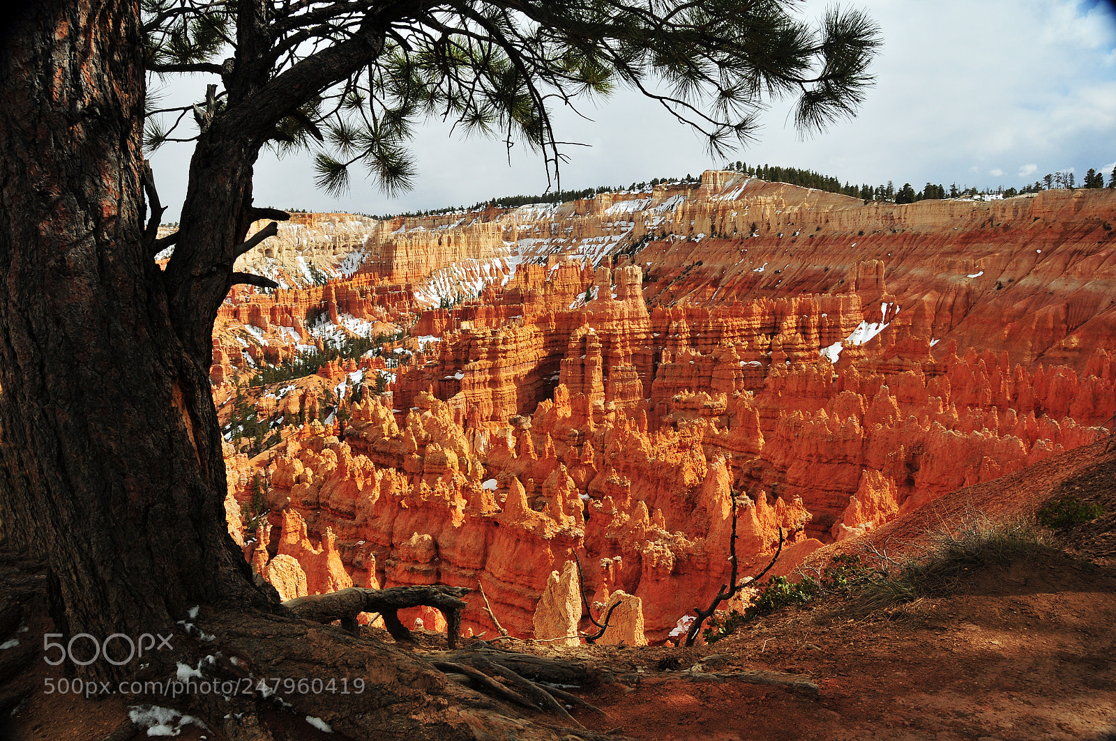 Nikon D300 sample photo. Copy photography