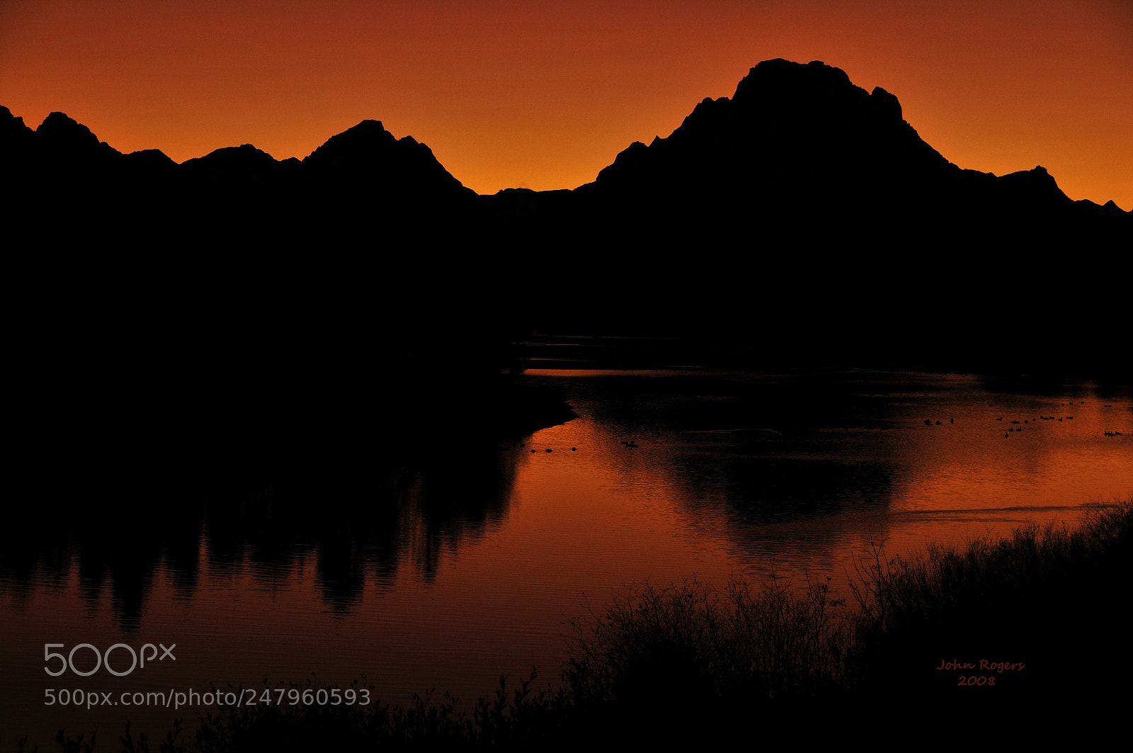 Nikon D300 sample photo. Yellowstone dsc photography