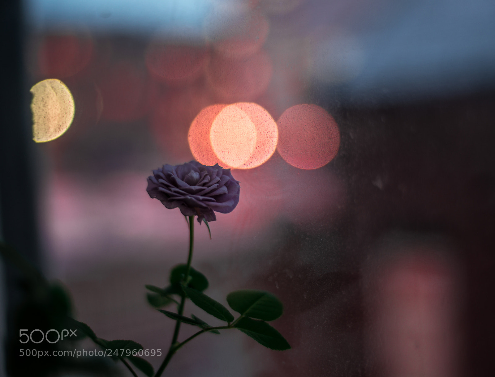 Nikon D800 sample photo. Nostalgia photography