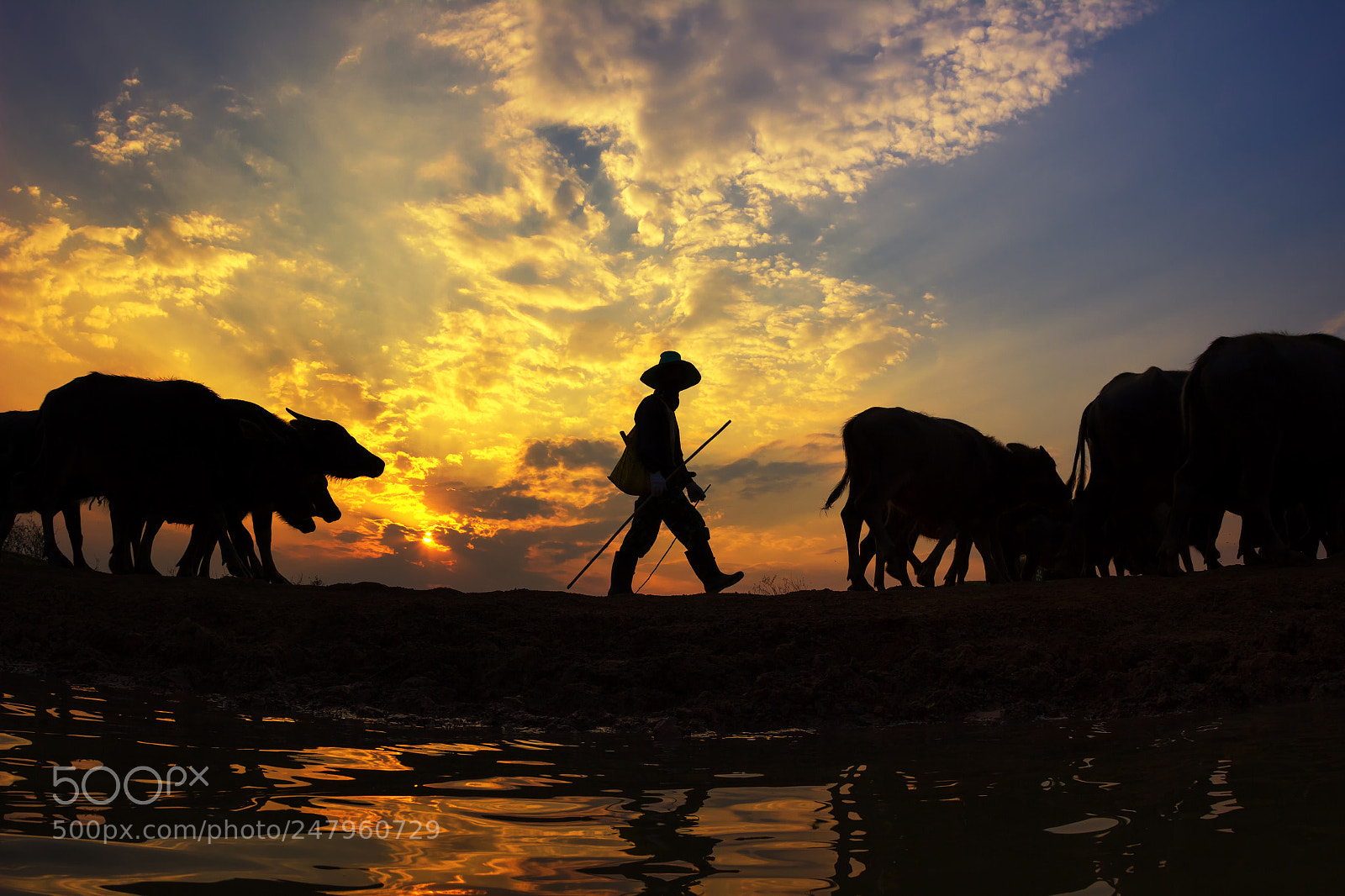 Canon EOS 600D (Rebel EOS T3i / EOS Kiss X5) sample photo. Silhouette sunset with lifestyle photography