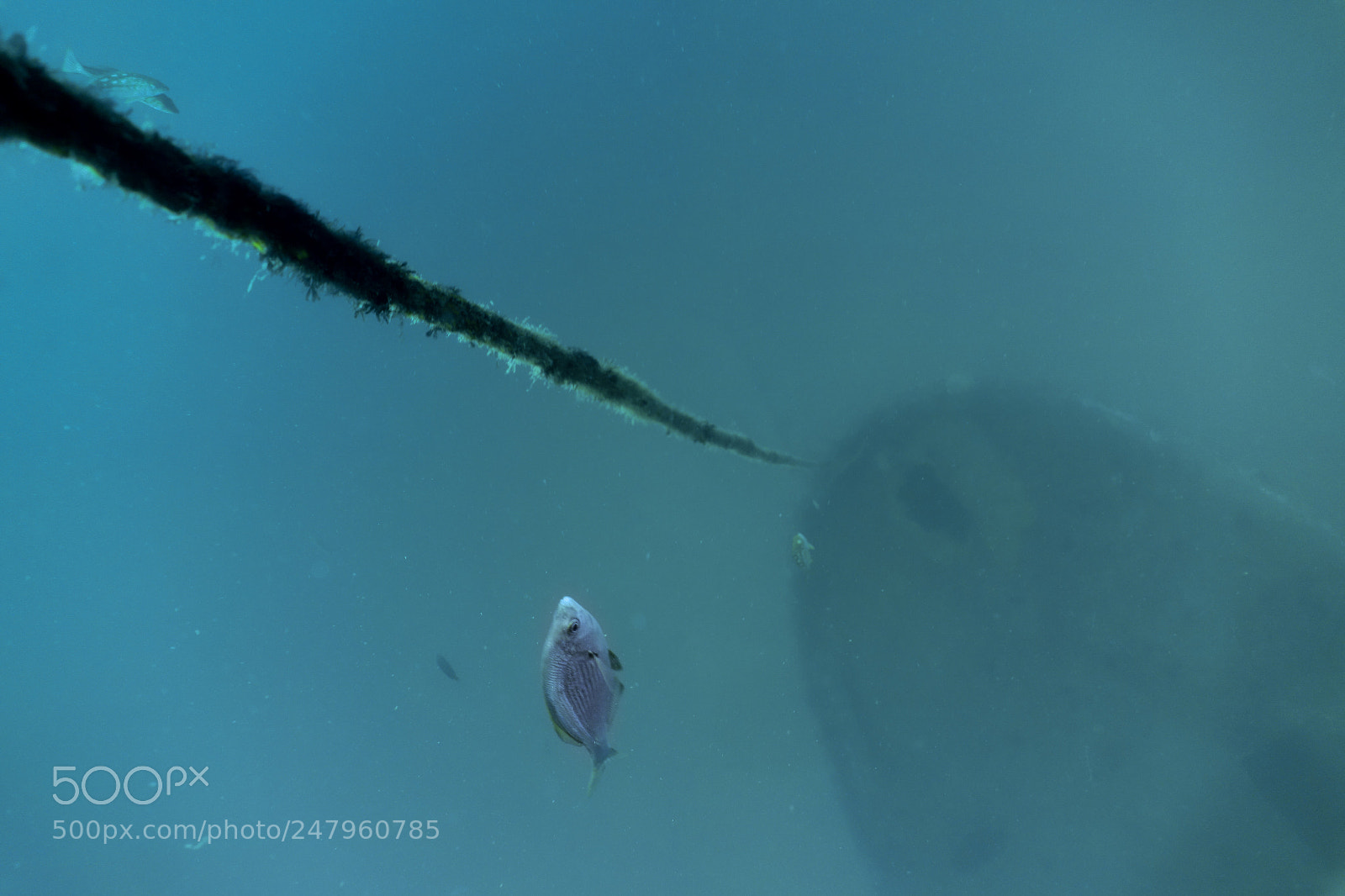 Sony Cyber-shot DSC-RX100 sample photo. Wreck diving in san photography