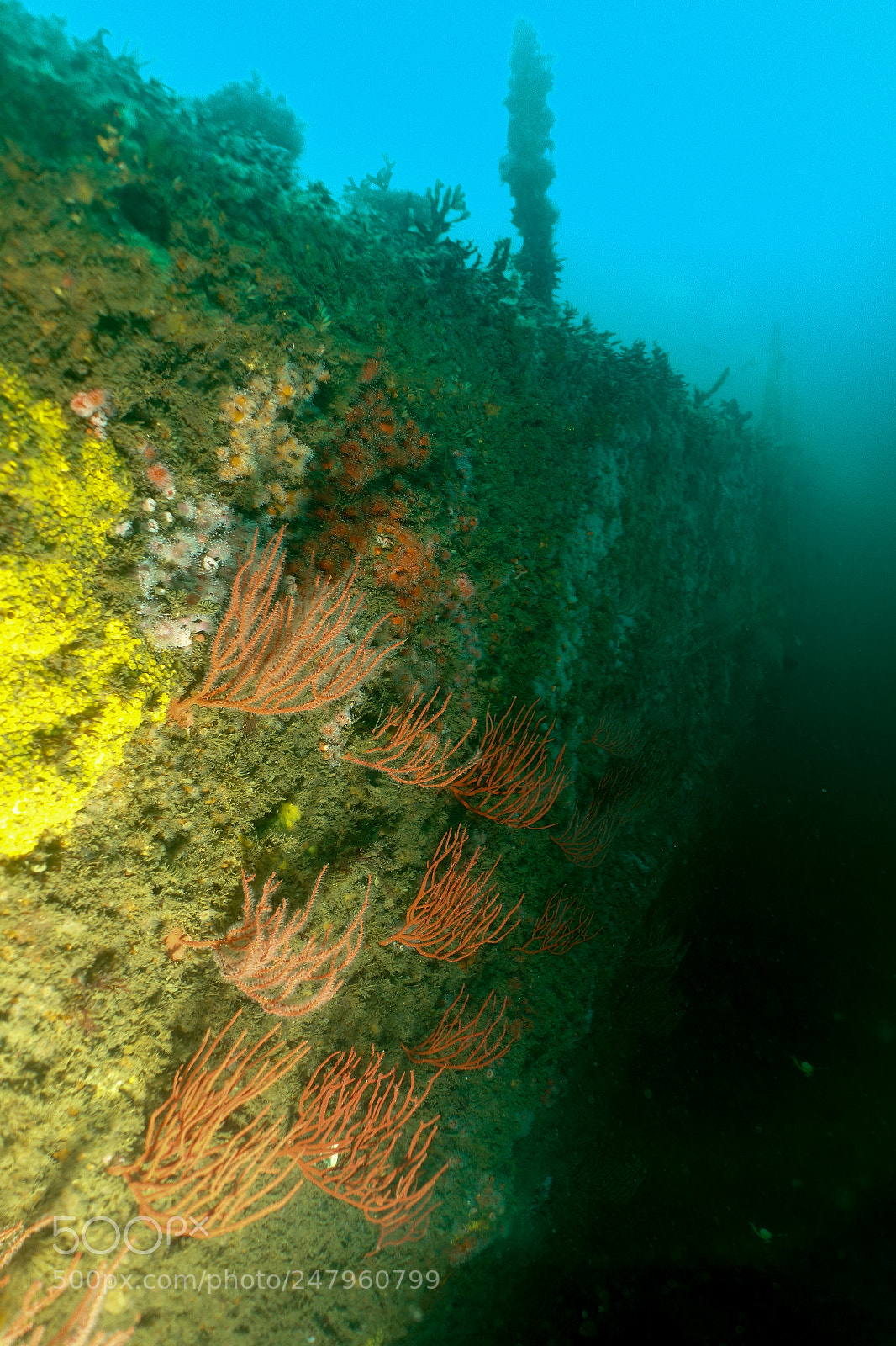 Sony Cyber-shot DSC-RX100 sample photo. Wreck diving in san photography