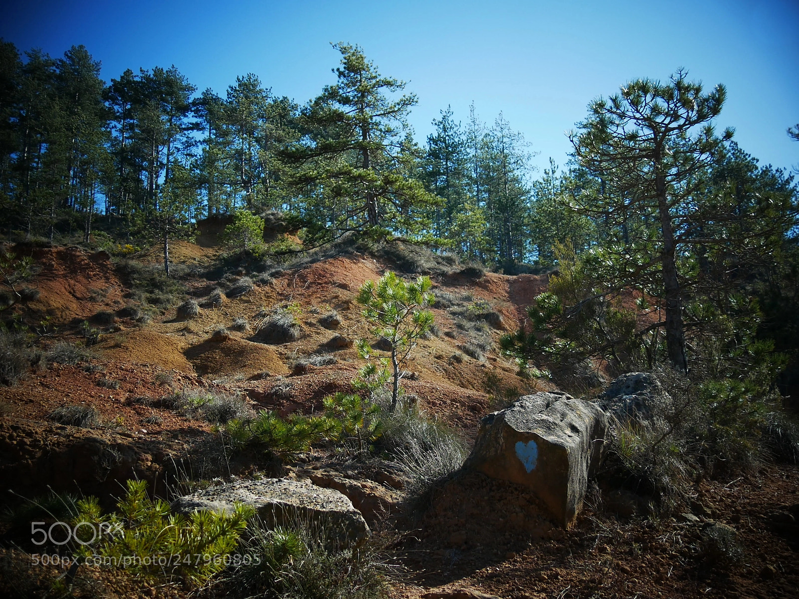 Panasonic Lumix DMC-GX85 (Lumix DMC-GX80 / Lumix DMC-GX7 Mark II) sample photo. The  blue heart photography