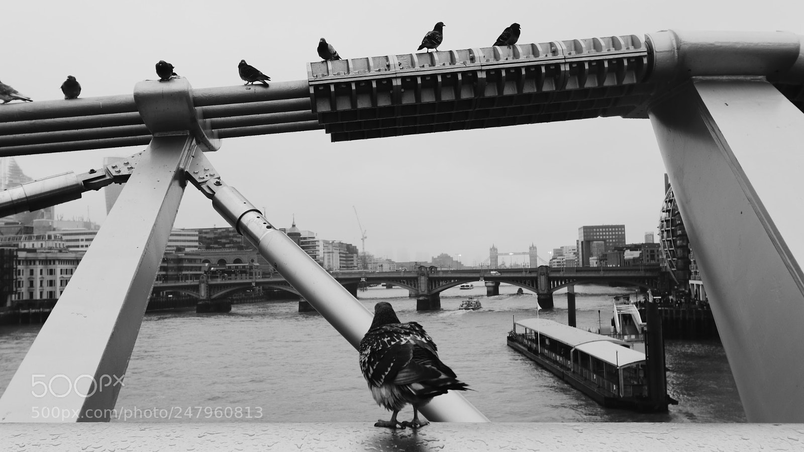 Canon EOS 80D sample photo. Bridges i photography