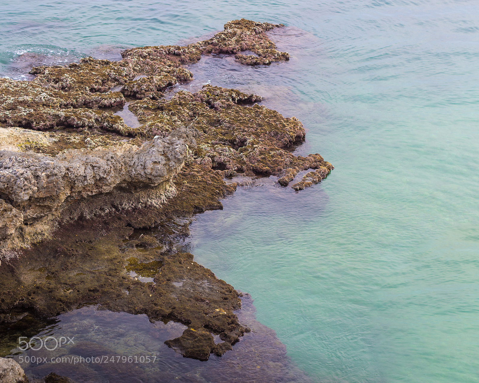 Canon EOS 600D (Rebel EOS T3i / EOS Kiss X5) sample photo. Fractals photography
