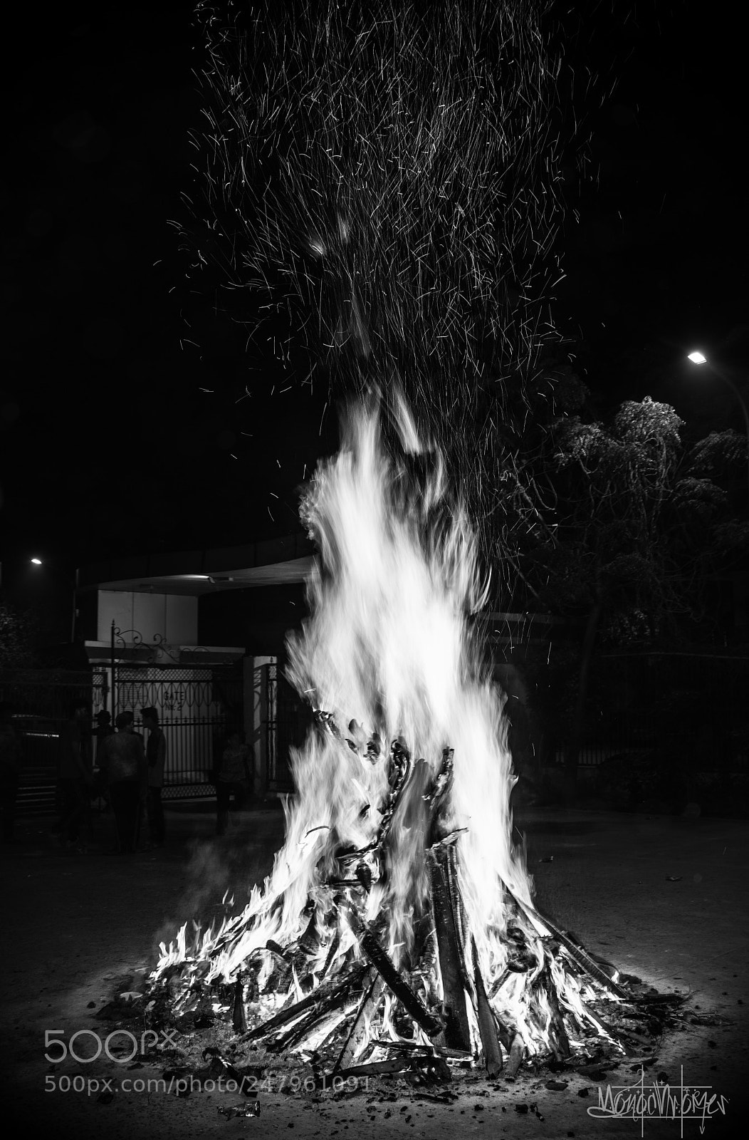 Nikon D810 sample photo. Let it burn photography