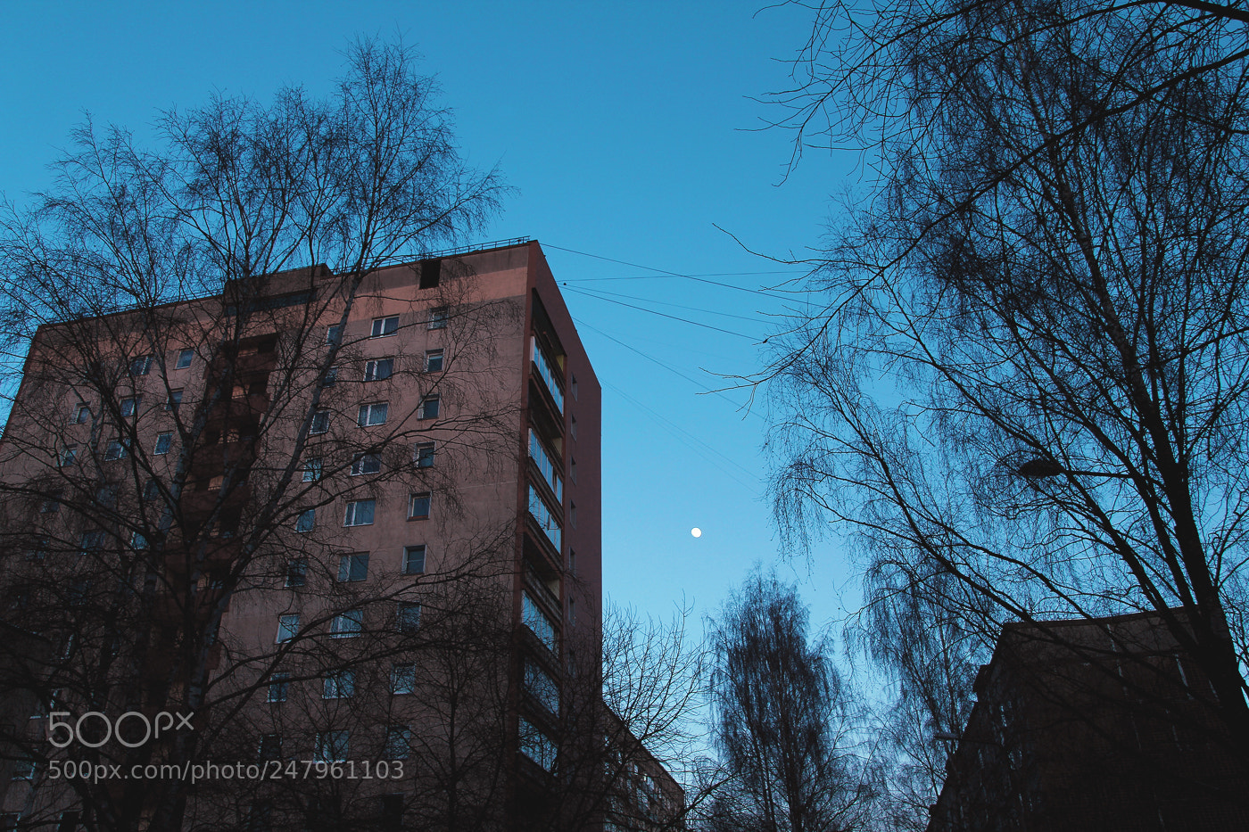 Canon EOS 60D sample photo. Nice evenings in the photography